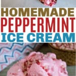 best peppermint ice cream