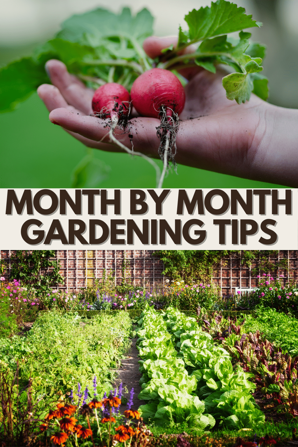 Looking for some month by month gardening tips to help you plan and get ahead of the game? You'll find that and so much more here! #gardening #gardeningtips #garden via @wondermomwannab