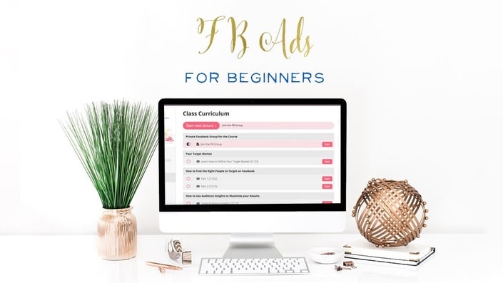 graphic of a laptop and a plant on a desk with title text reading FB Ads for beginners
