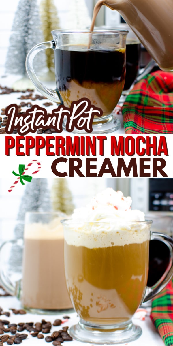This recipe for Peppermint Mocha Creamer is so easy and takes no time at all if you have an Instant Pot! #coffeelovers #peppermintmocha #instantpot #DIYchristmasgift via @wondermomwannab