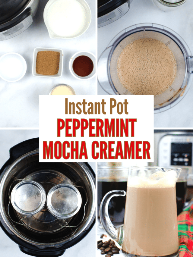 cropped-Instant-Pot-Peppermint-Mocha-Creamer-Pin-Process.png
