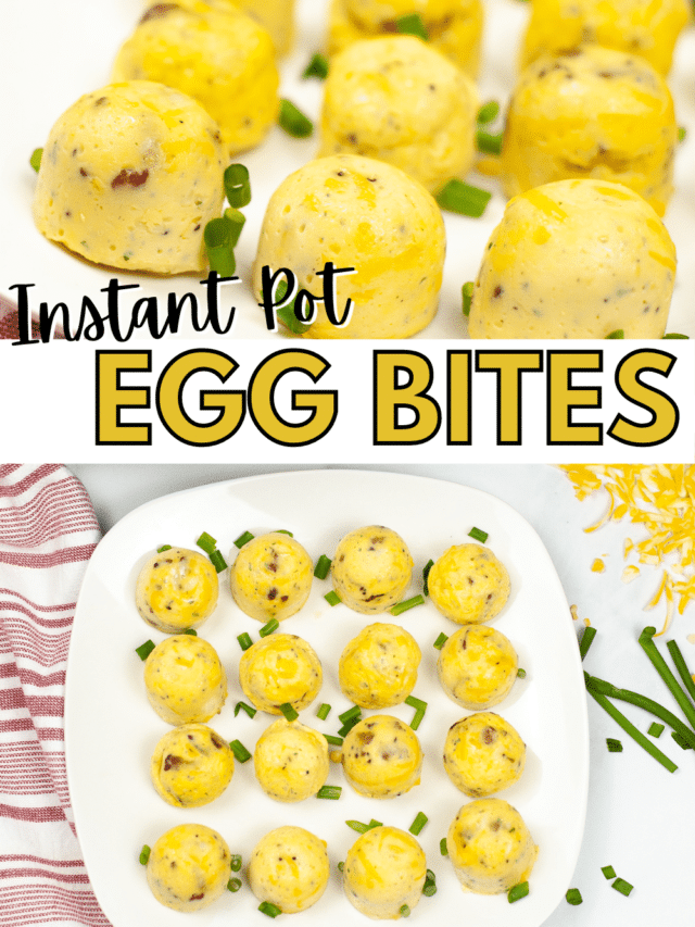 Instant Pot Egg Bites Recipe - The Gingered Whisk