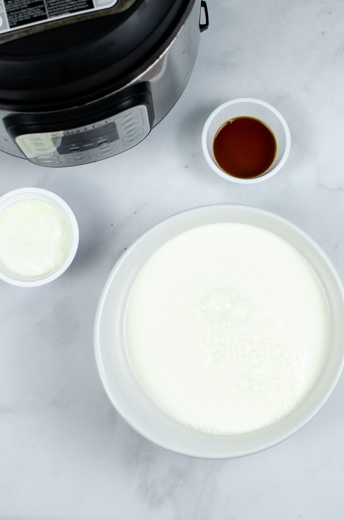 Instant Pot Vanilla Yogurt ingredients