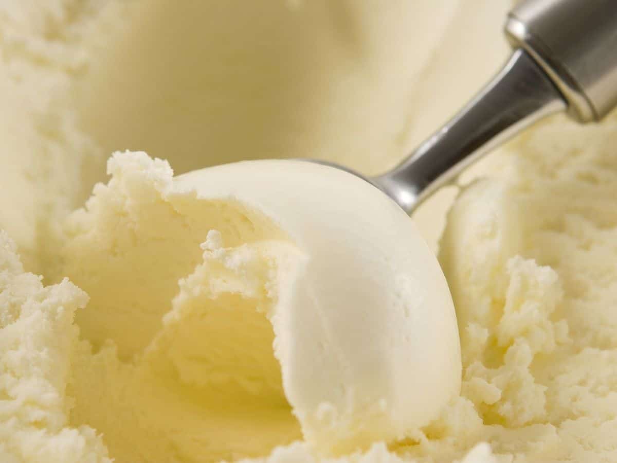 close up of vanilla ice cream being scooped with an ice cream scoop