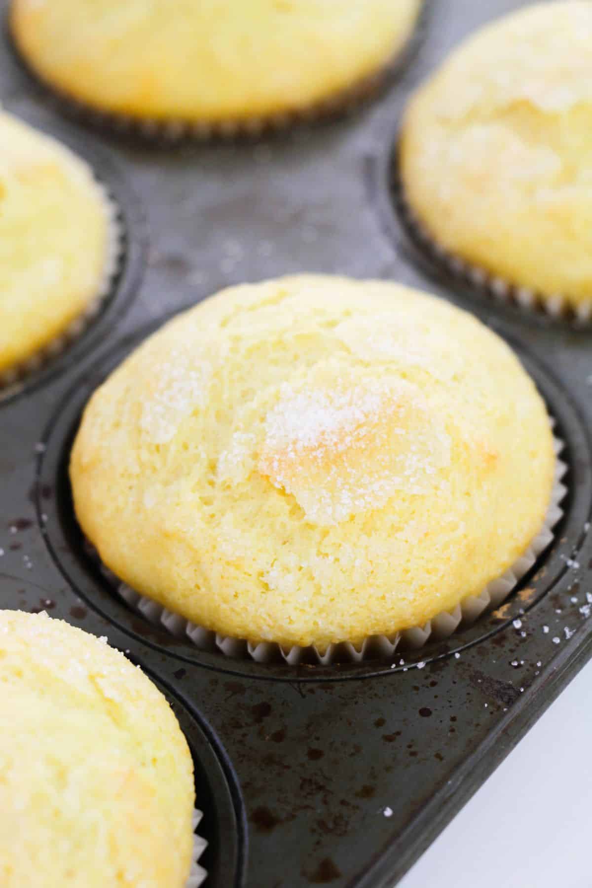 Ricotta Lemon Muffins in a muffin pan