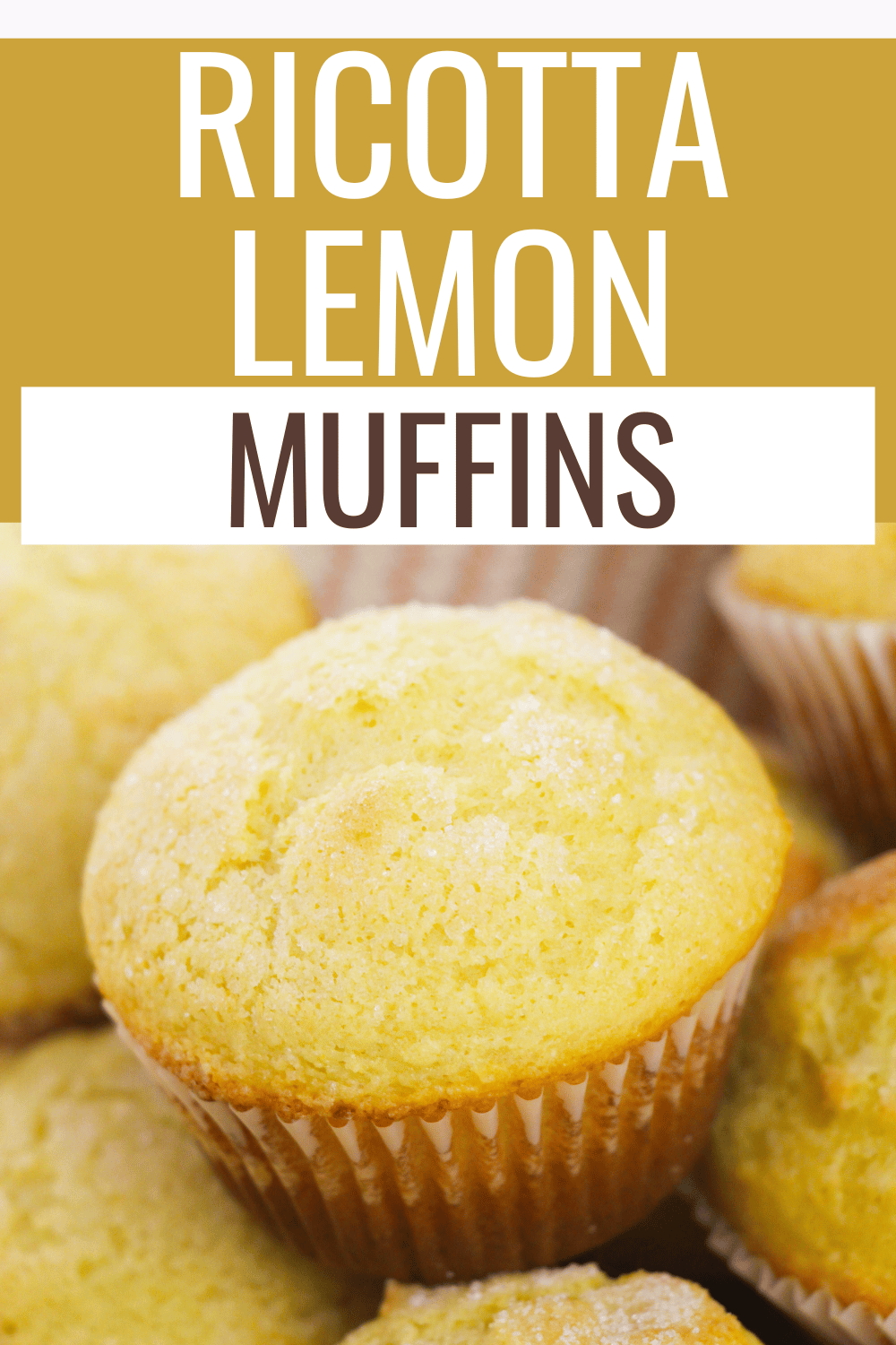 a closeup of a ricotta lemon muffin with more muffins in the background and title text reading Ricotta Lemon Muffins