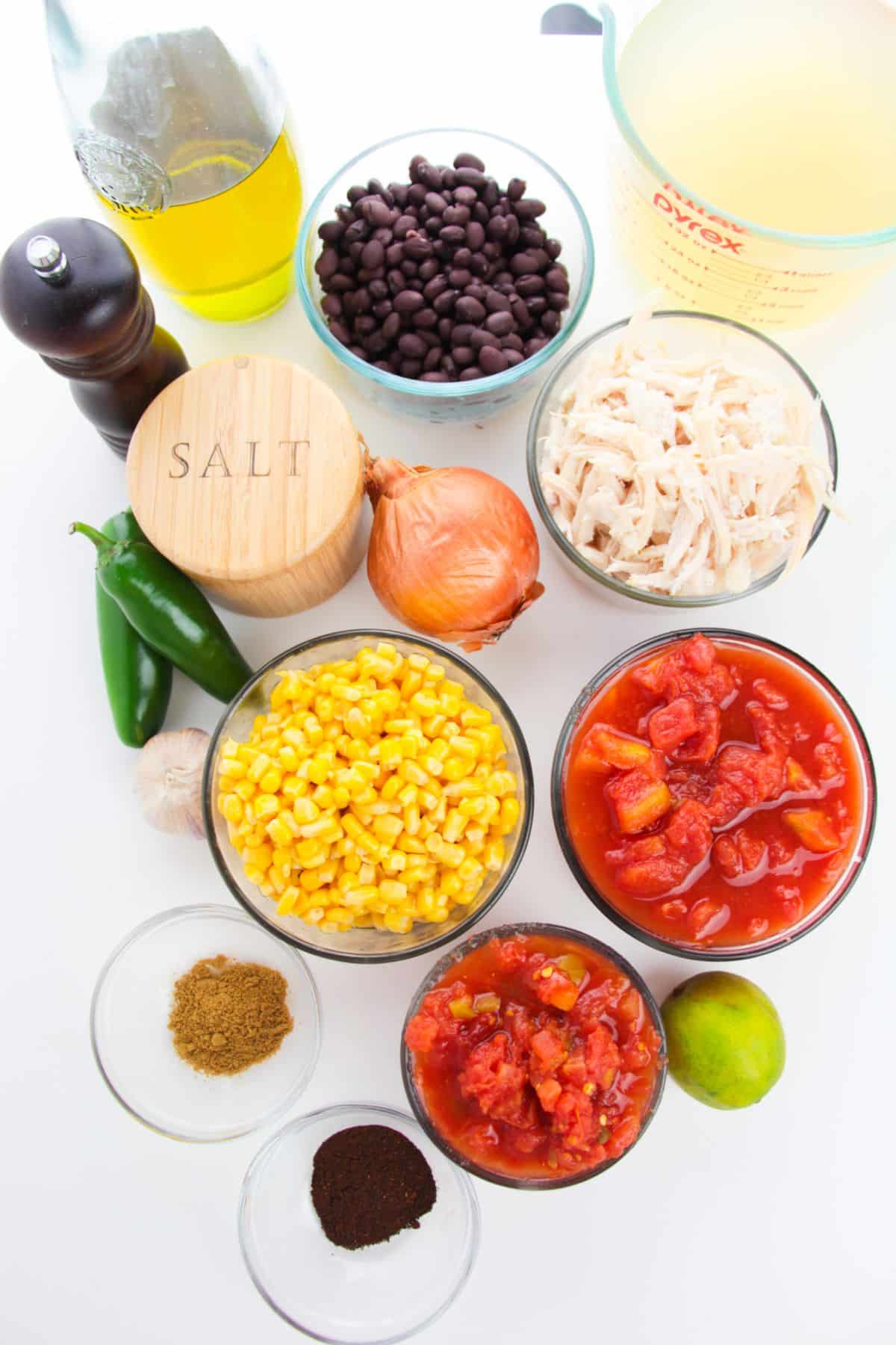 ingredients needed to make healthy chicken tortilla soup.
