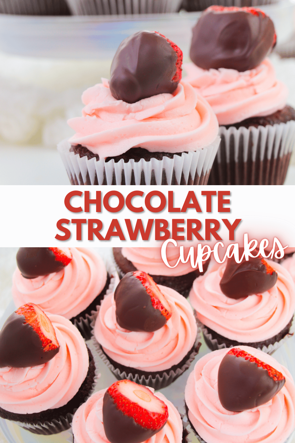 These Chocolate Strawberry Cupcakes are delicious treats topped with strawberry buttercream frosting and a chocolate covered strawberry. #chocolatestrawberrycupcakes #chocolatecoveredstrawberry #strawberrybuttercreamfrosting #chocolatecupcakes #valentinesday via @wondermomwannab