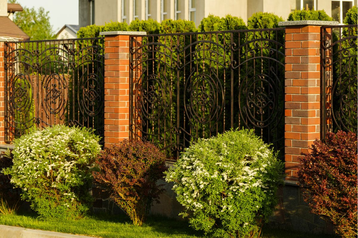 iron fence outside wall of evergreen trees with bushes outside the fence