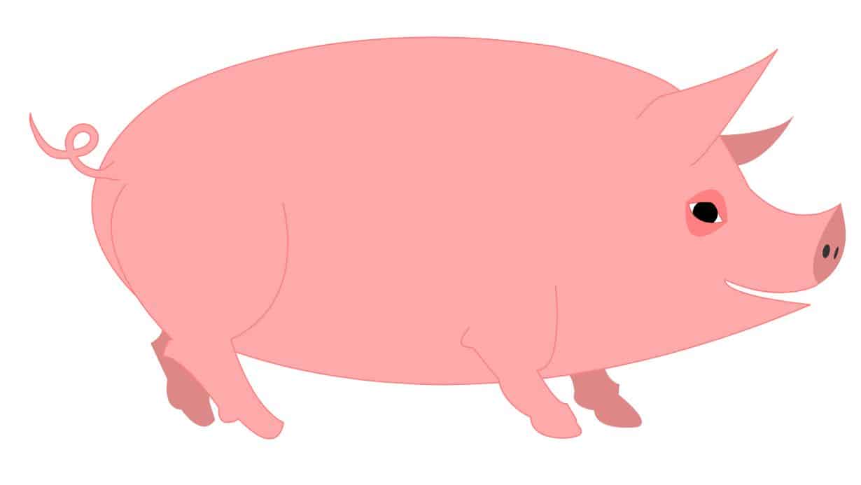 a graphic of a pink pig.