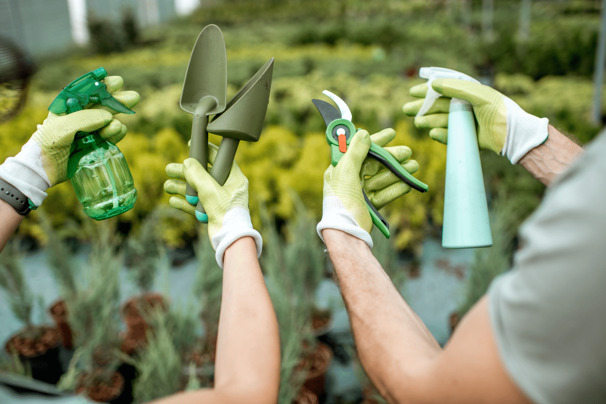 Hands holding tools for gardening.