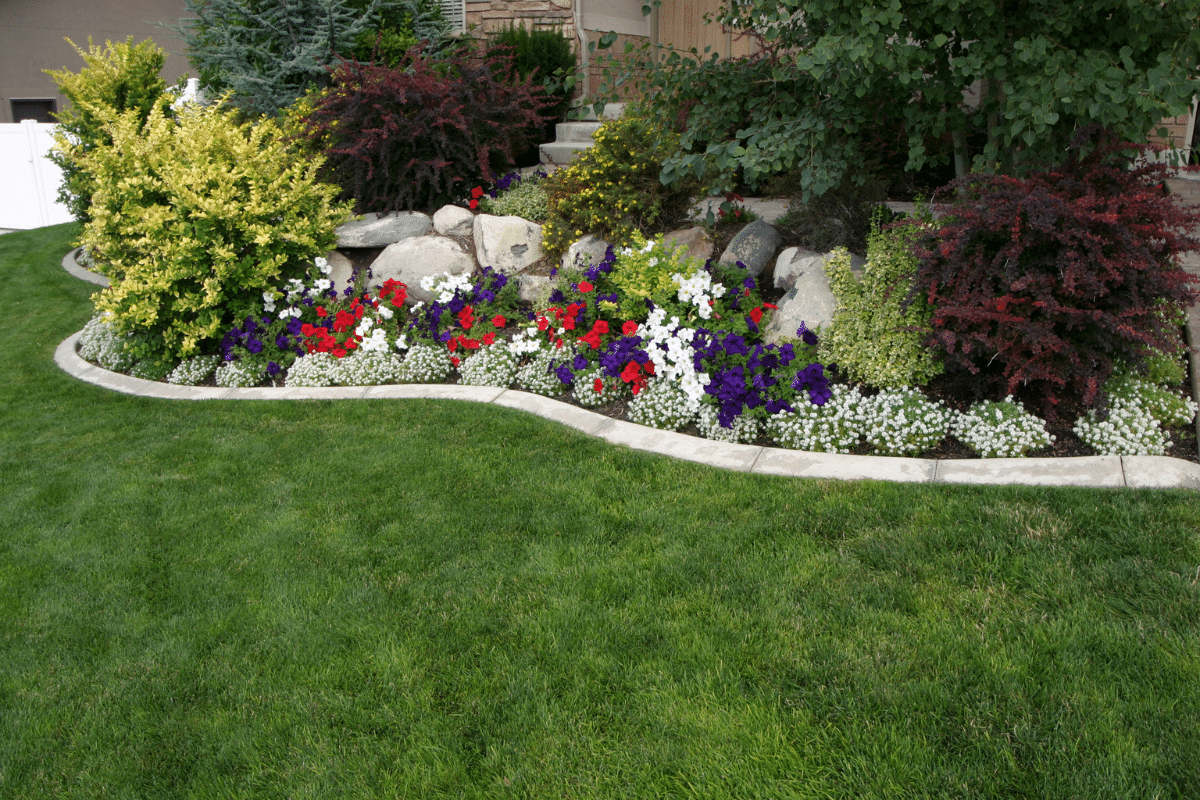 a yard with colorful plants and shrubs.