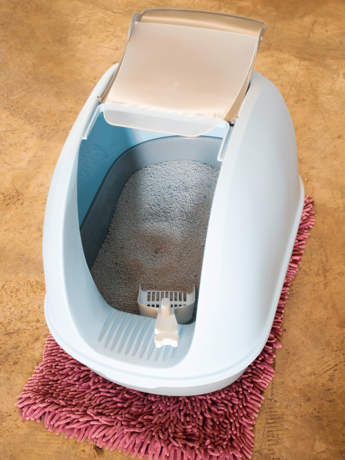a cat litter box with a plastic scoop in it.