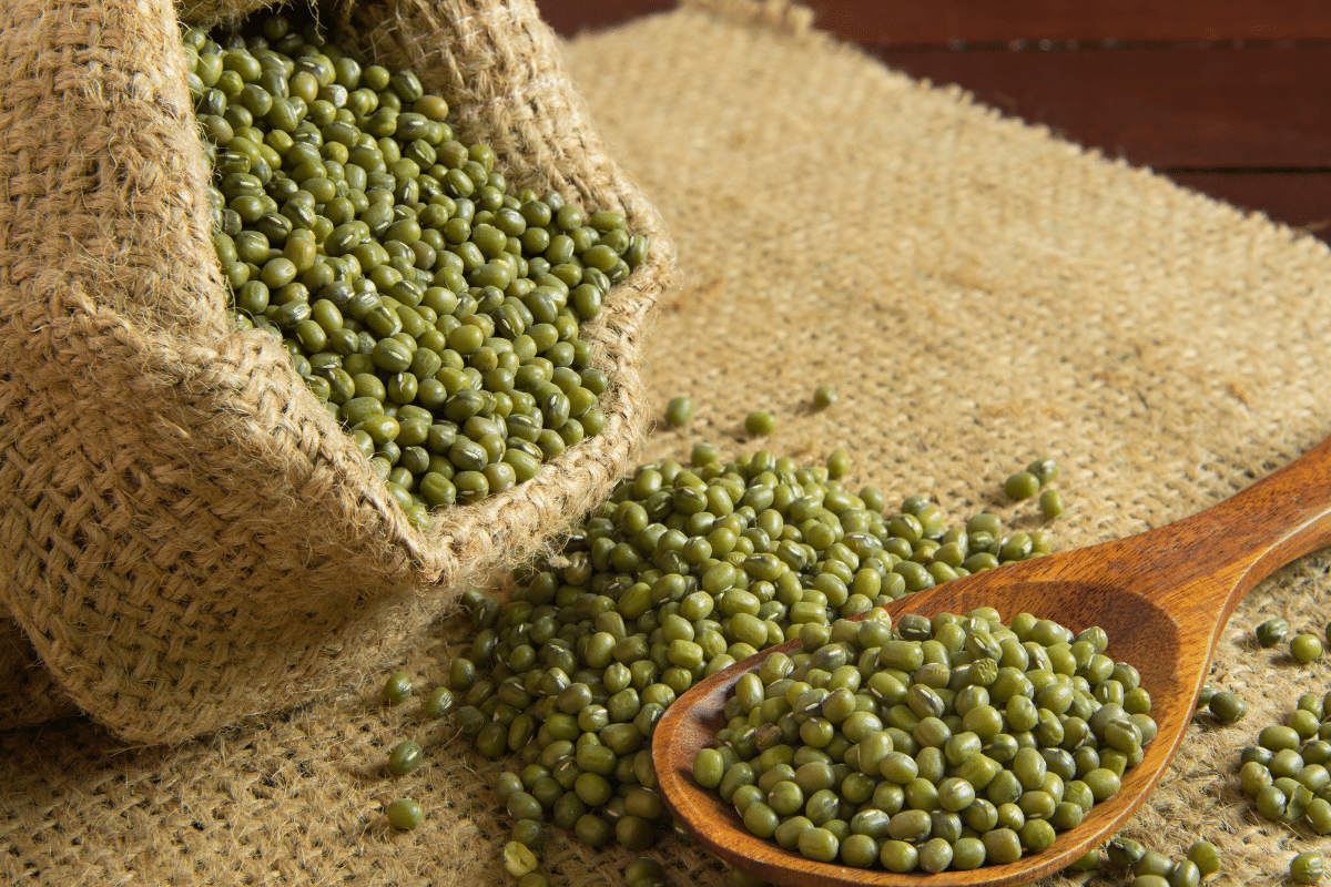 Mung Beans in a sack and on the wooden spoon.