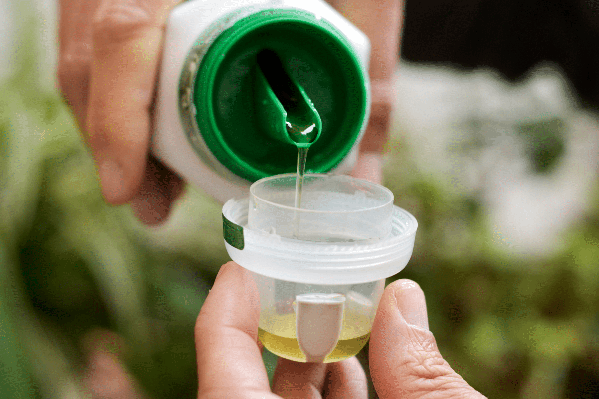 a hand pouring liquid fertilizer into a plastic cup lid.