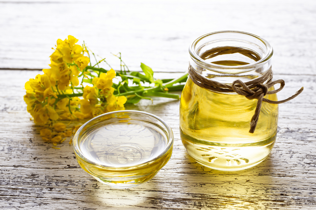 A glass jar and a small bowl of canola oil, with canola flower on the side.