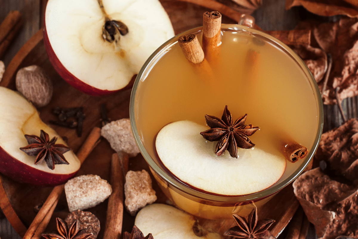 Overhead view of Apple cider in a glass with a slice of apple, cinnamon, and star anise.