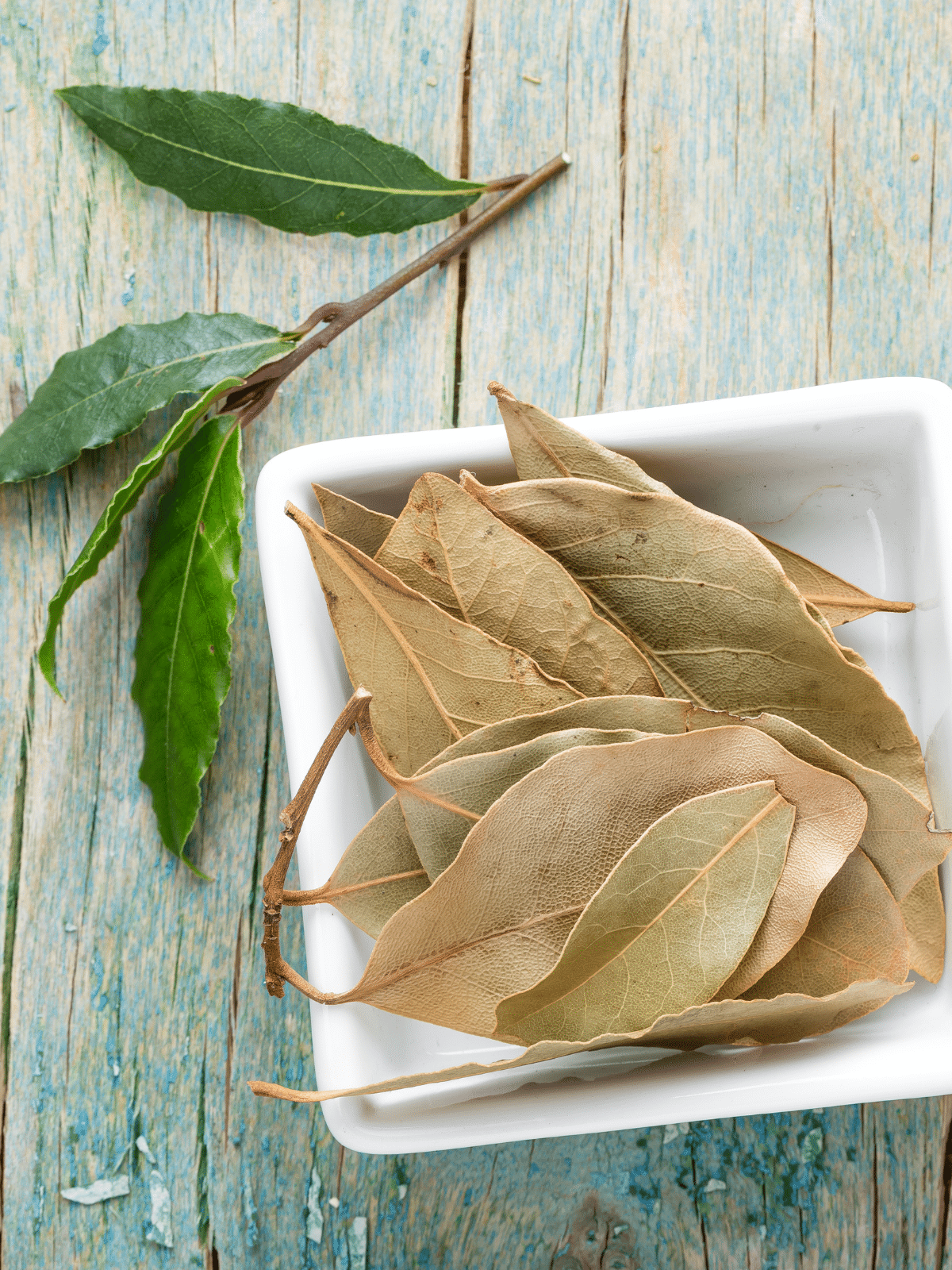 Dried bay leaves in a white bowl with fresh bay leaves on the side.