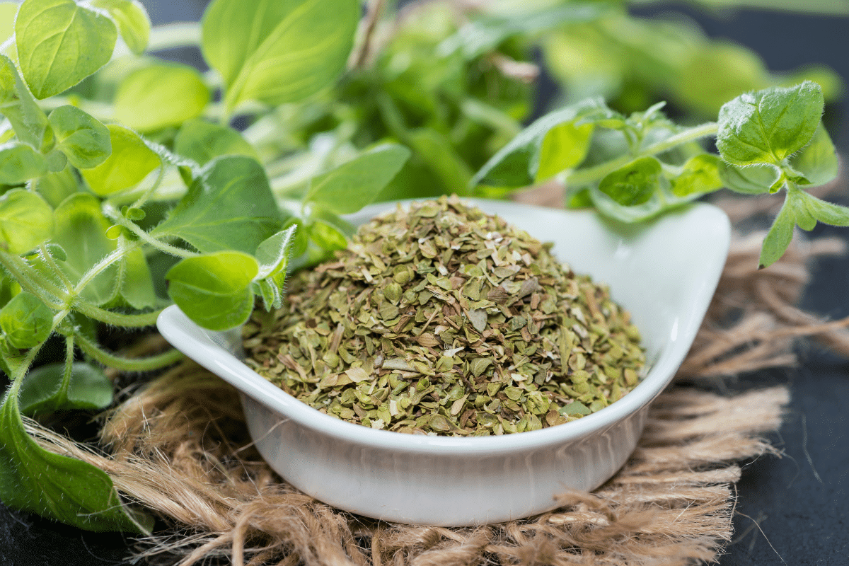 Dried oregano in a white bowl with fresh oregano on the side.