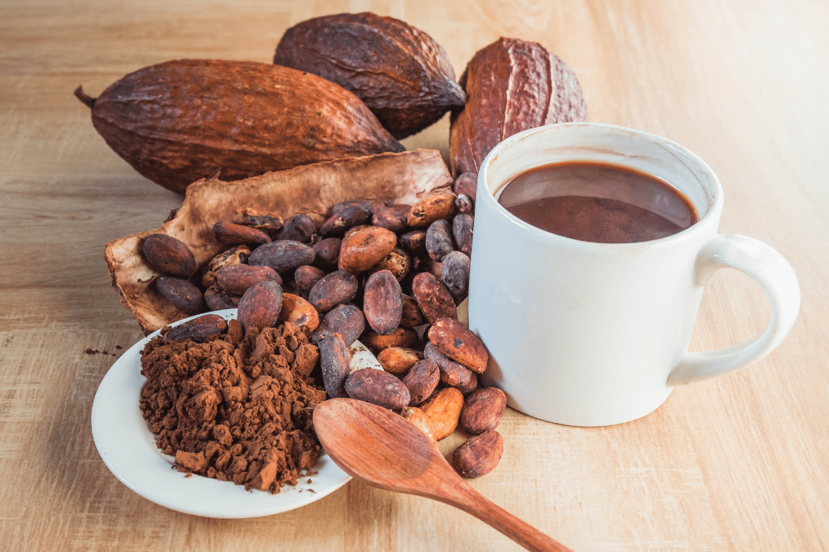 Cocoa powder on a small plate, Cocoa beans, wooden spoon and a cup of cocoa on the side.