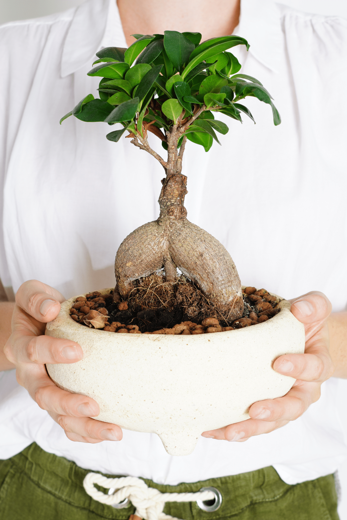 A woman holding a Ficus bonsai plant in a white bowl.