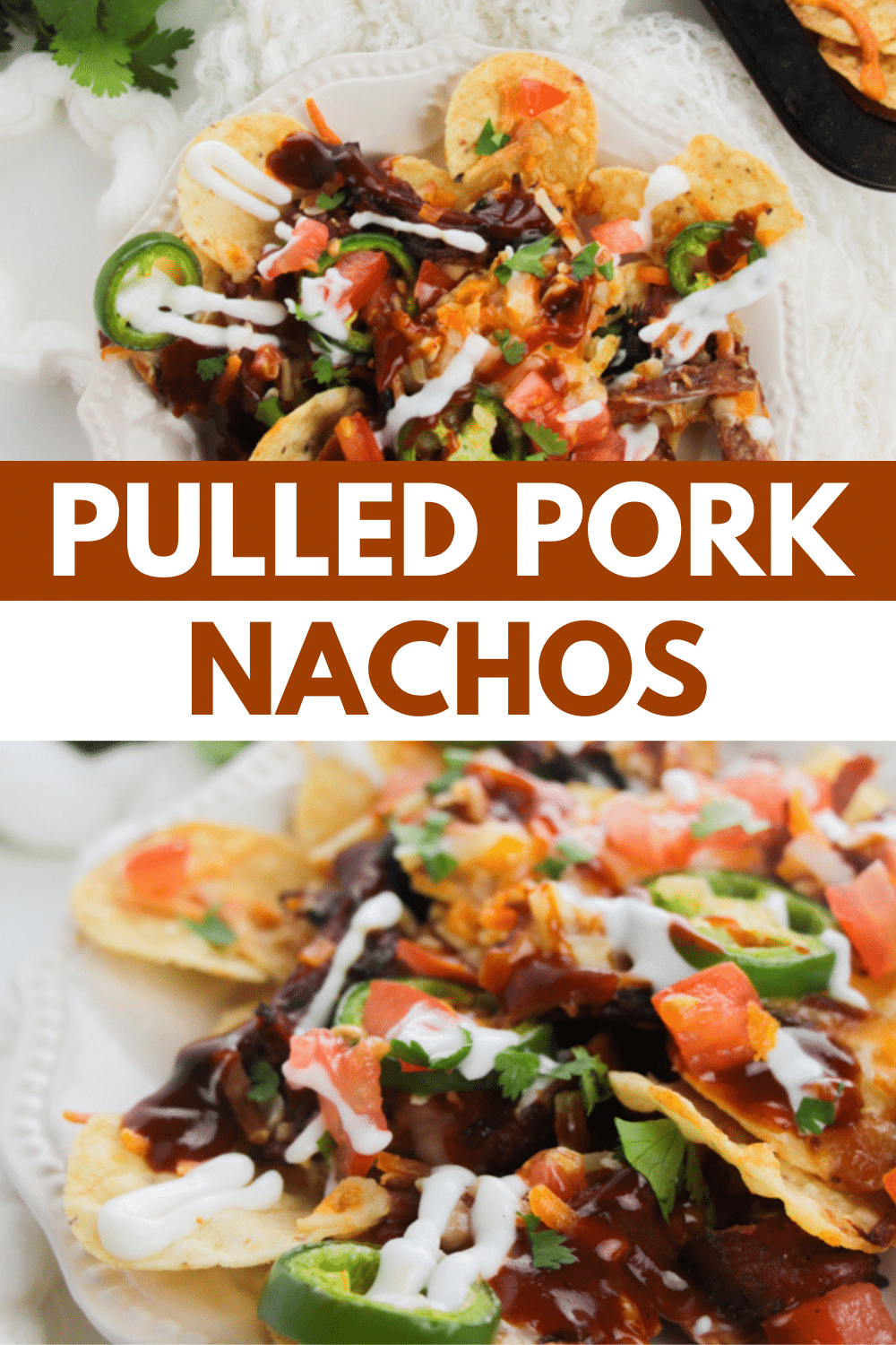 White plate, crispy tortilla chips, deliciously tender pulled pork.