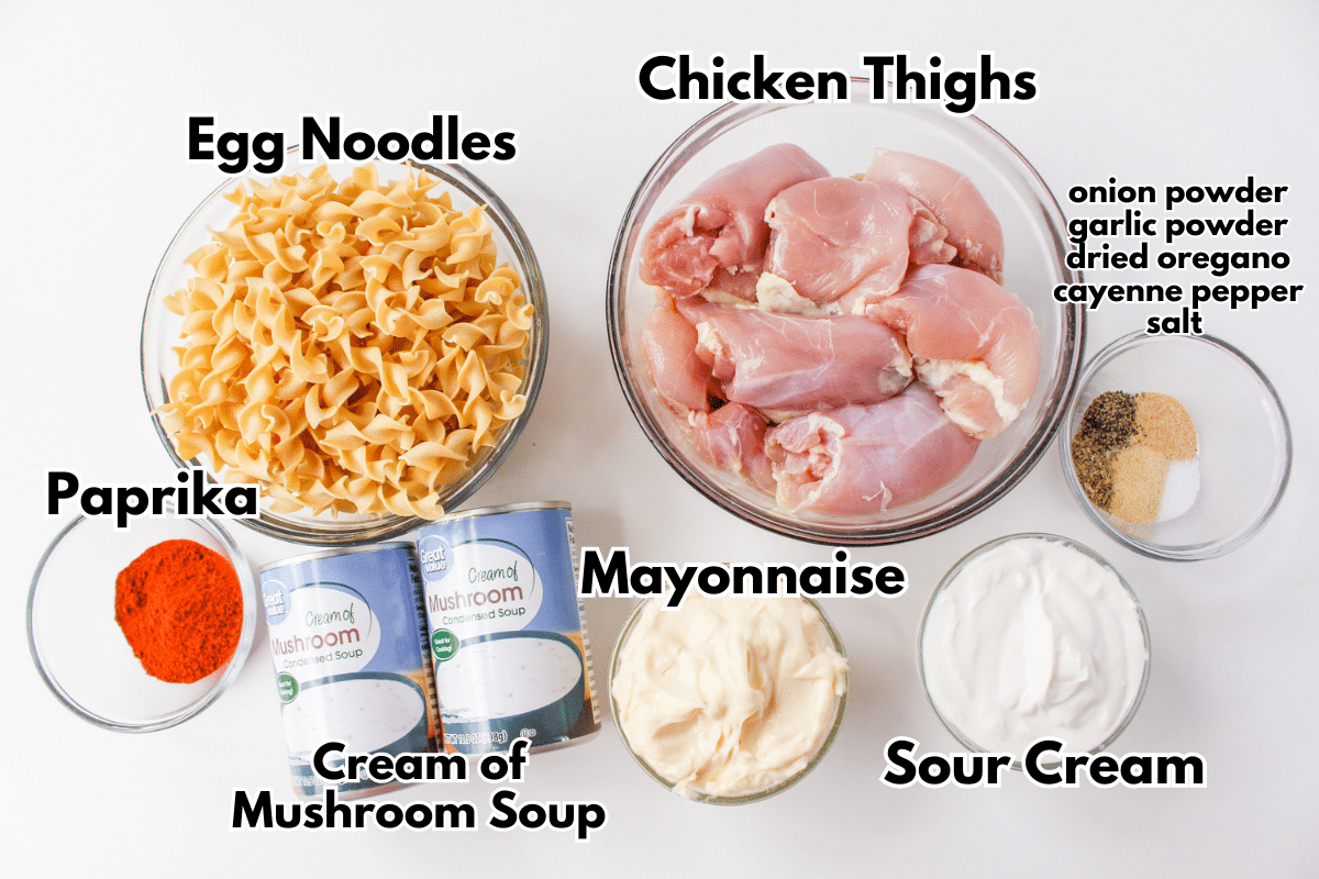 Crockpot chicken noodle soup ingredients.