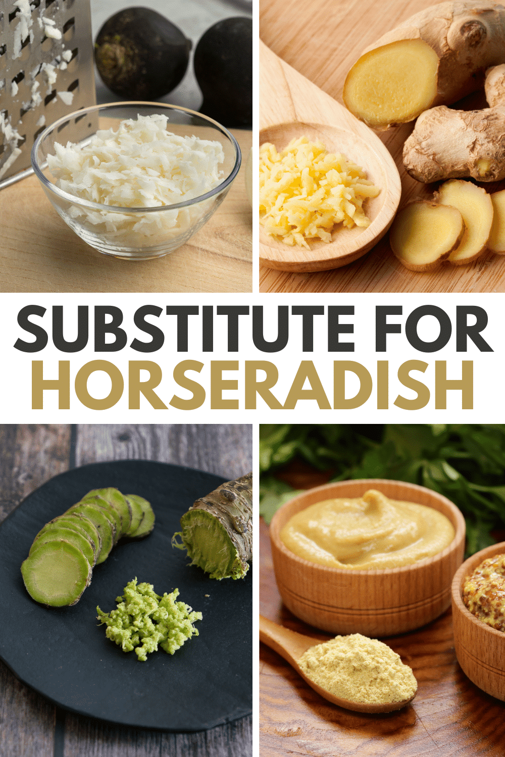 Horseradish substitutes for horseradish horseradish substitutes for horseradish horseradish substitutes for horseradish horseradish.