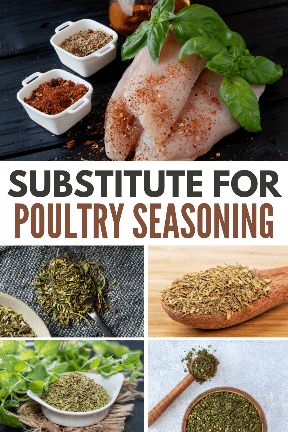 A collage of 5 images of seasonings with title text reading Substitute for Poultry Seasoning.