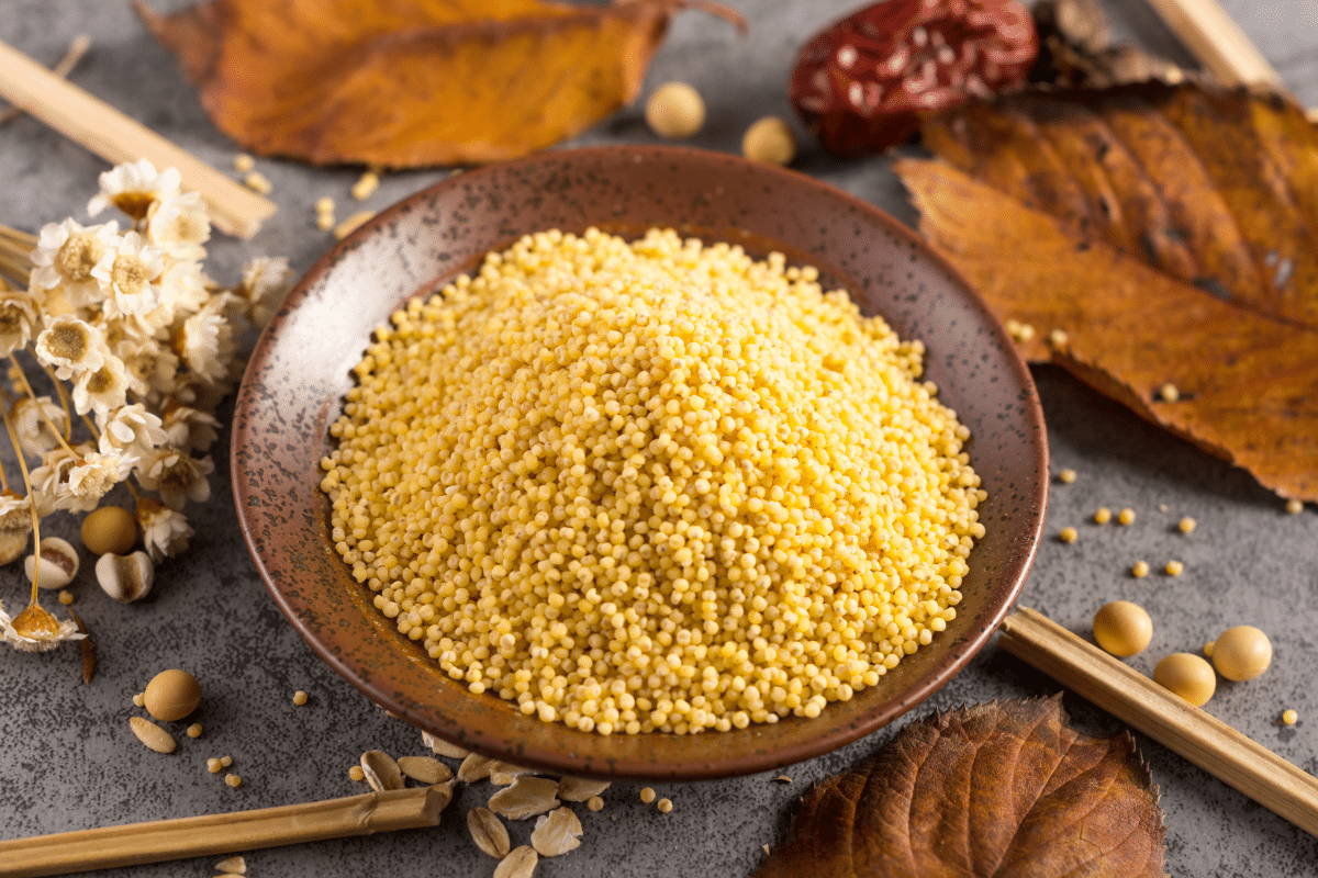 Millet in a bowl on a gray background, a nutritious substitute for quinoa.