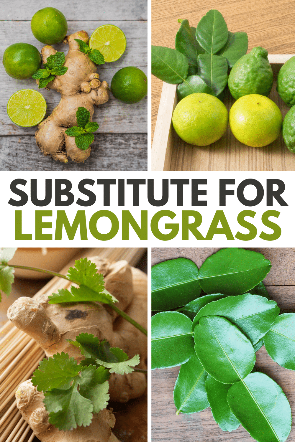 A collection of images with the text substitute for lemongrass.