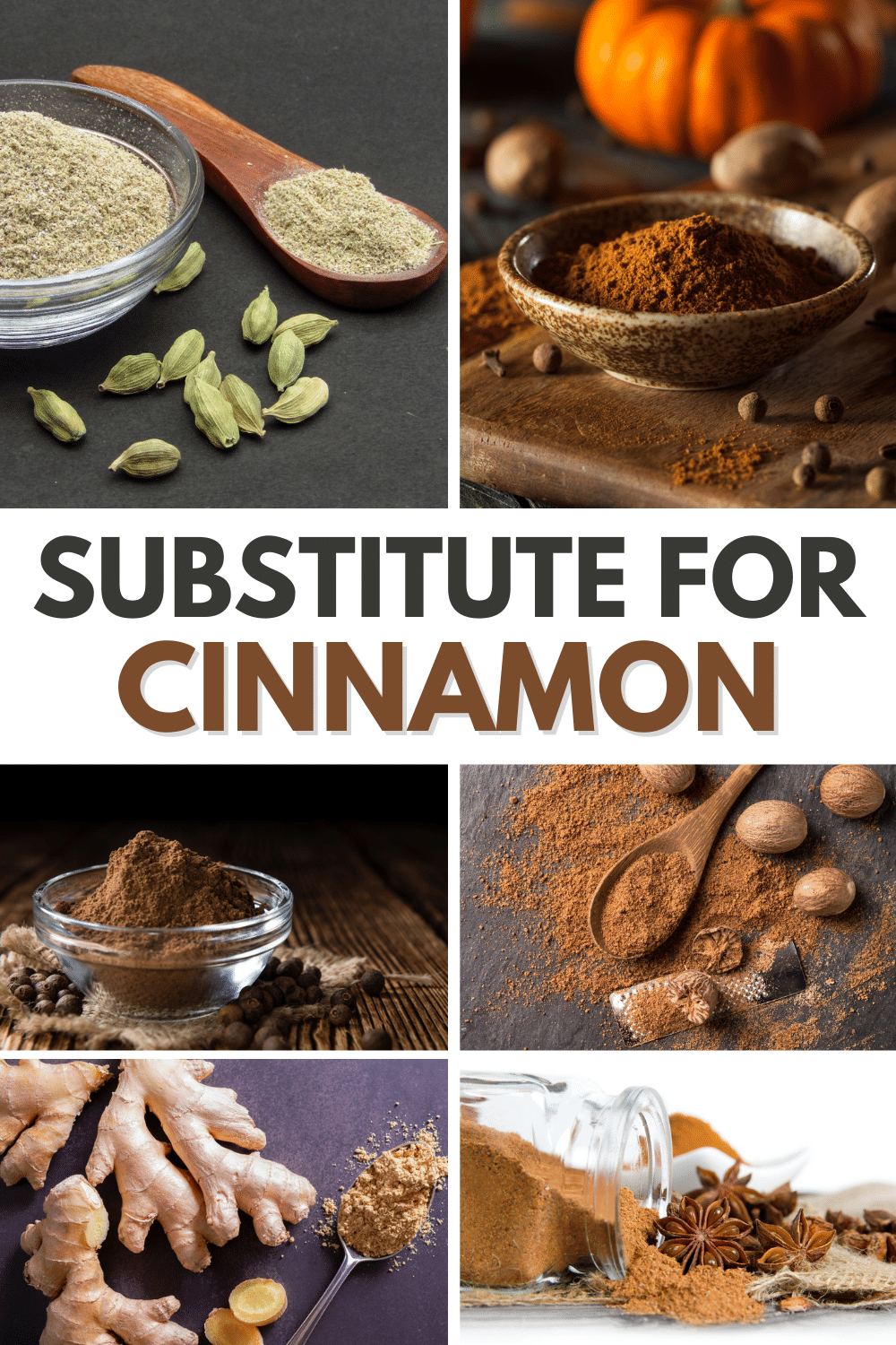 A collage of spices with a cinnamon substitute.