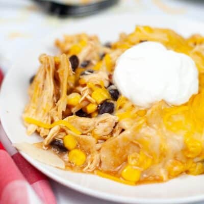A Crock Pot Chicken Enchilada Casserole with sour cream.