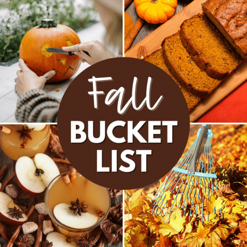 A collection of images featuring a fall bucket list.
