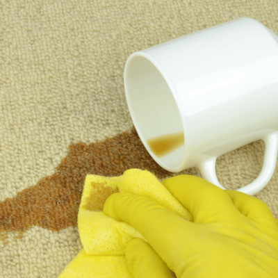 A person removing a coffee stain from a carpet.