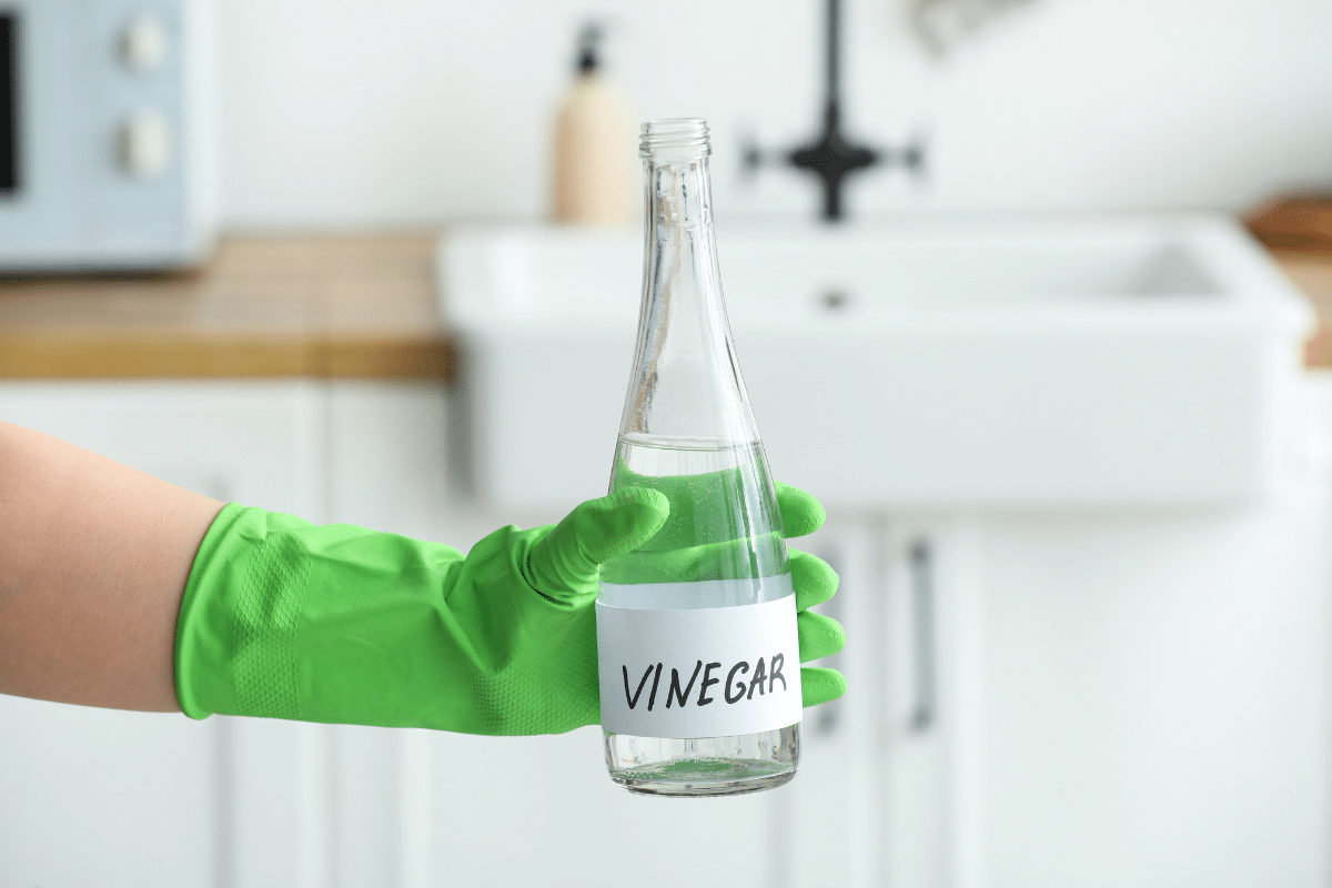 A person holding a bottle of white vinegar, to try and remove red wine from the carpet.