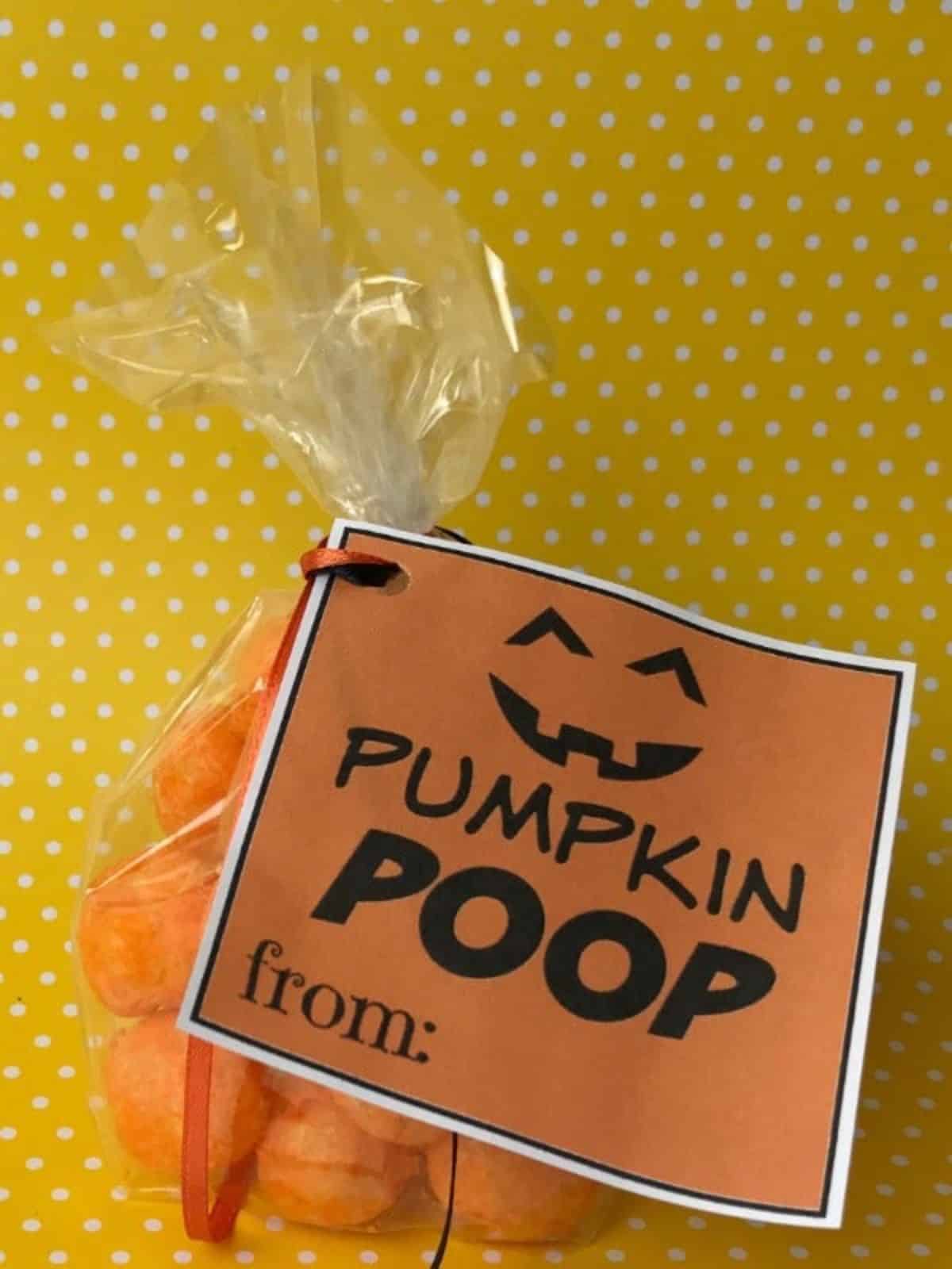 Halloween treat bag with pumpkin poop tag.