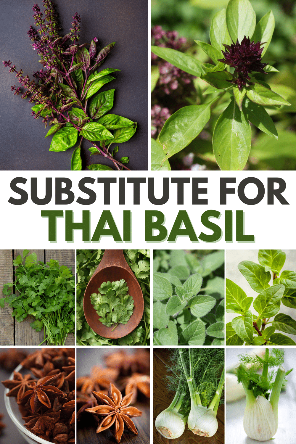 Thai basil alternative.