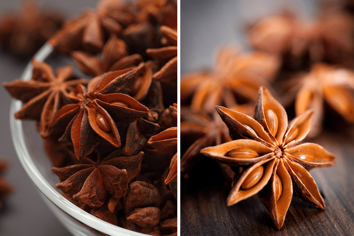 A close up of star anise, a versatile substitute for Thai basil.