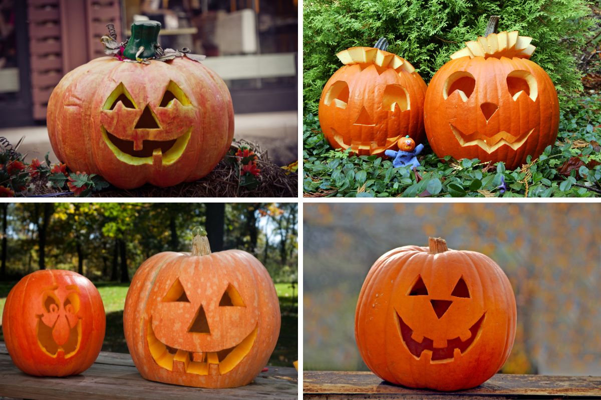A collage of carved pumpkins perfect for halloween games.