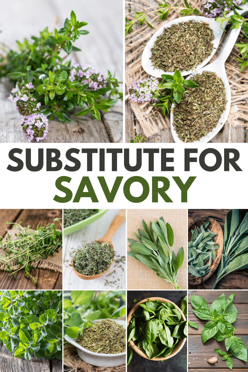 A diverse montage of fresh and enticing herbs, serving as the perfect substitute for savory flavors.