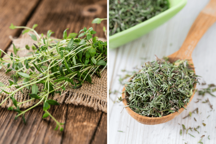 Fresh Thyme Substitute Dried