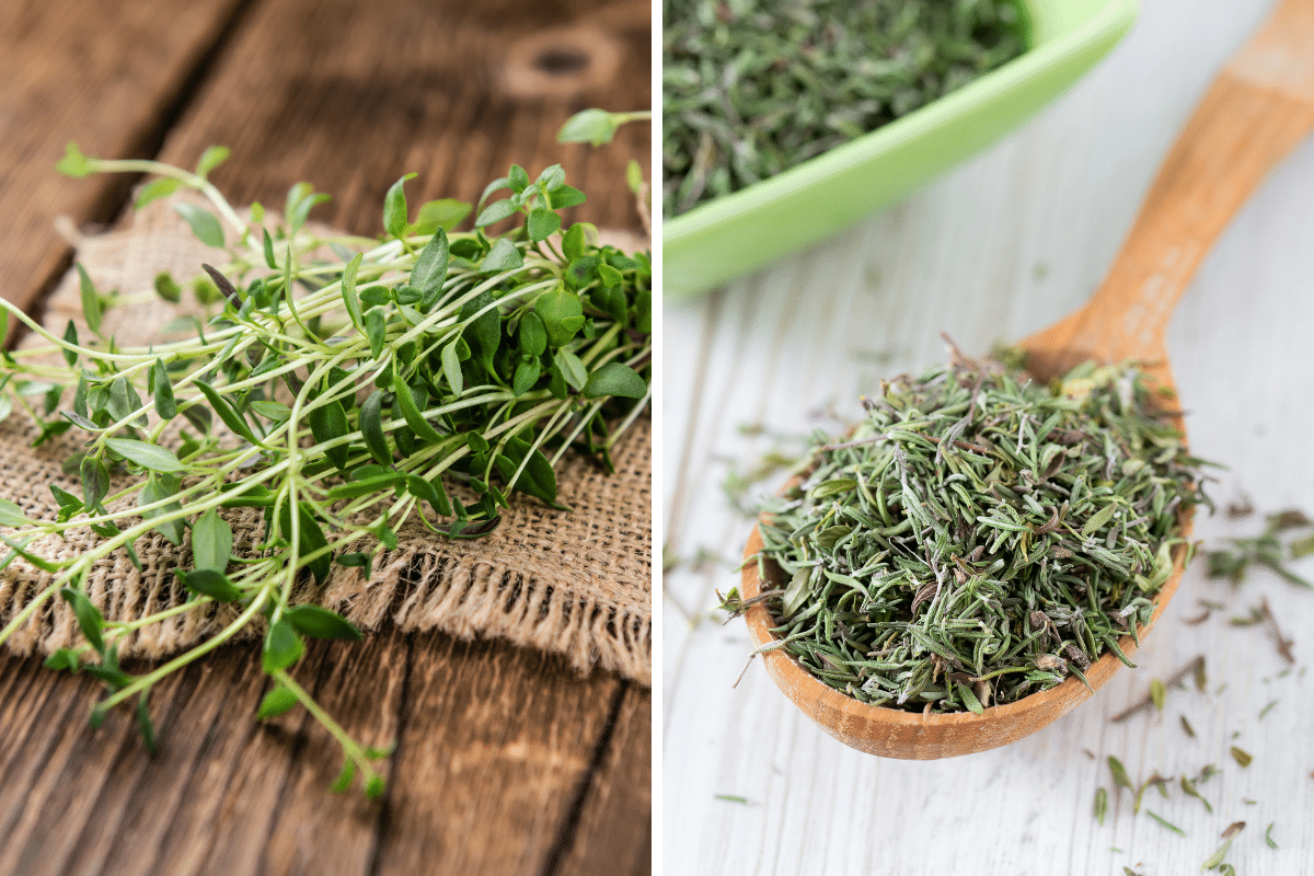 Two pictures of thyme that can be used as a substitute for savory.