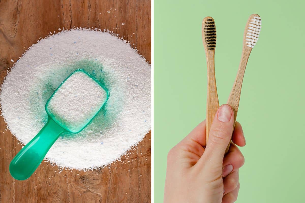 A person holding toothbrushes next to a scoop full of detergent powder.