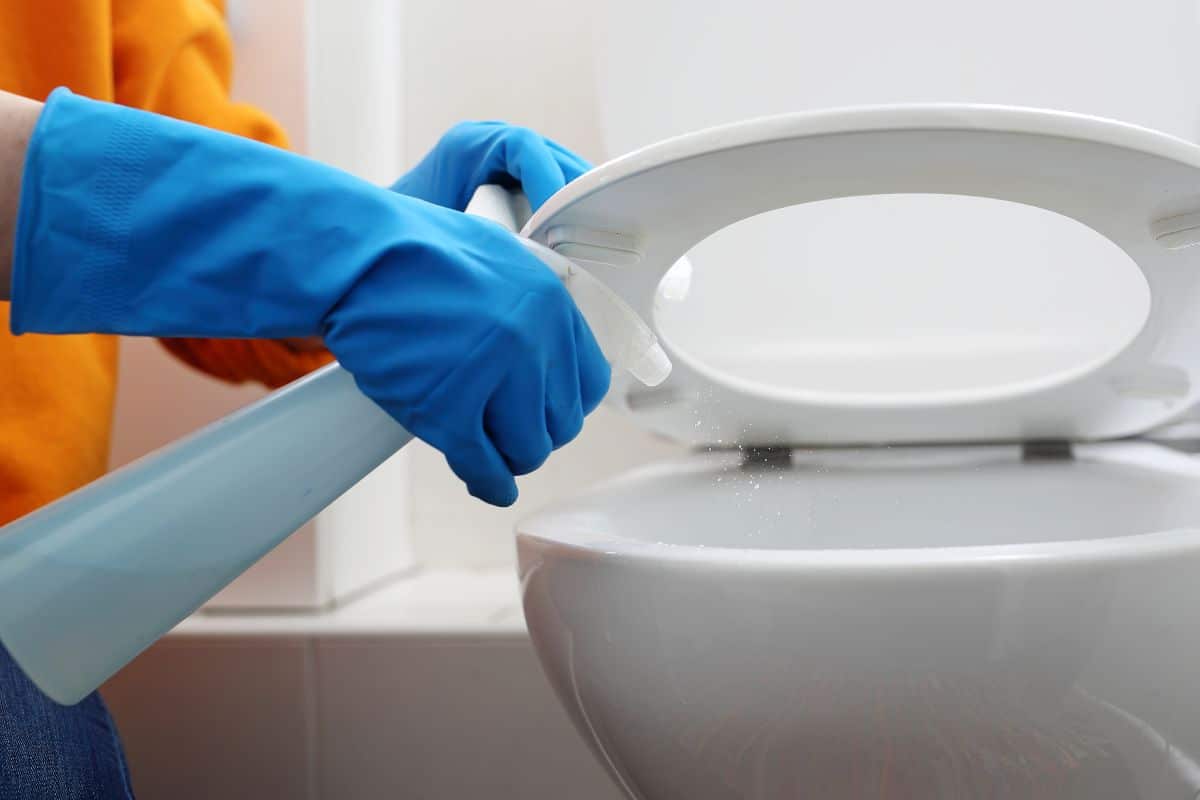 A person cleaning a toilet using vinegar wearing blue gloves.