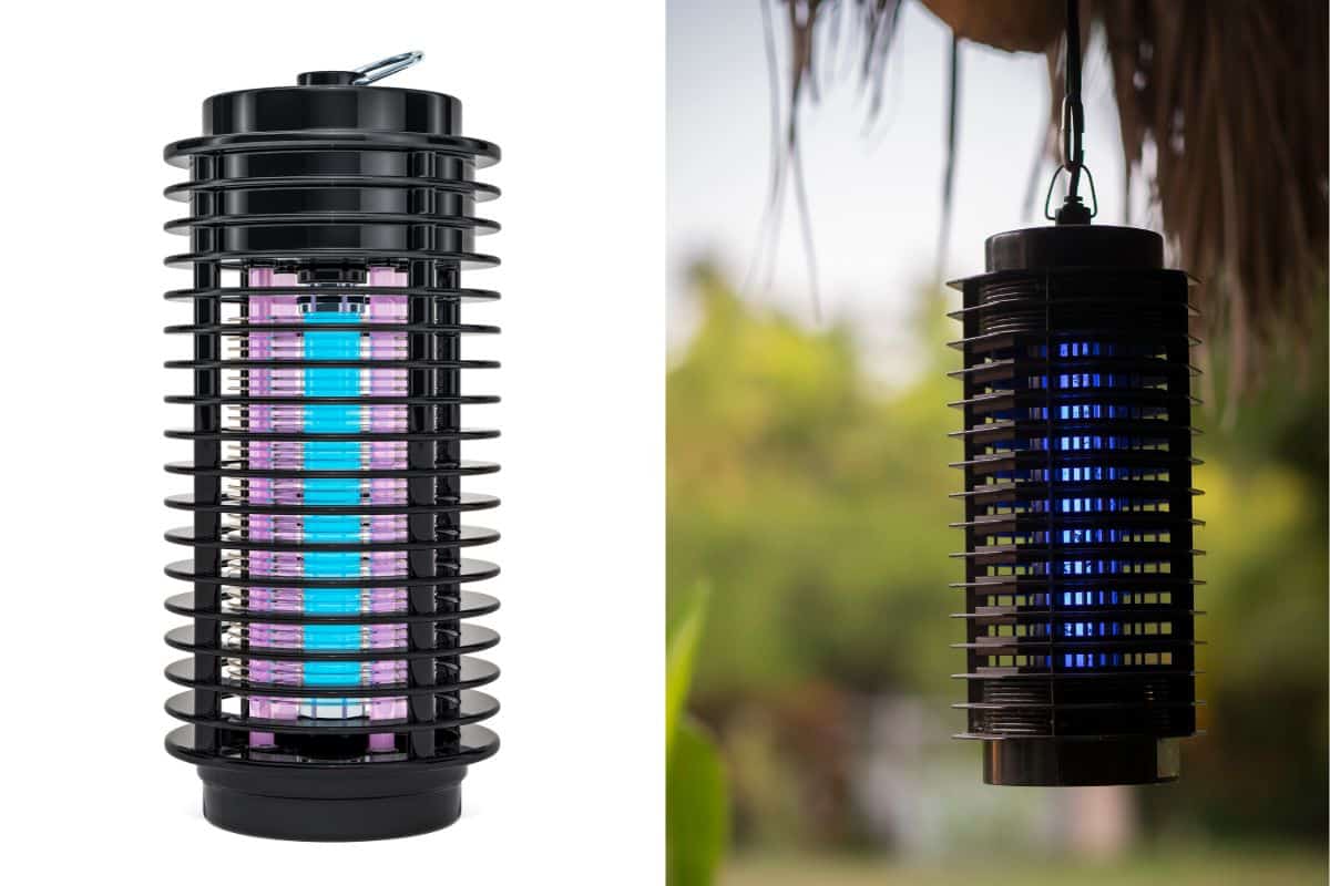 A black insect zapper hanging from a tree, effectively getting rid of backyard flies.