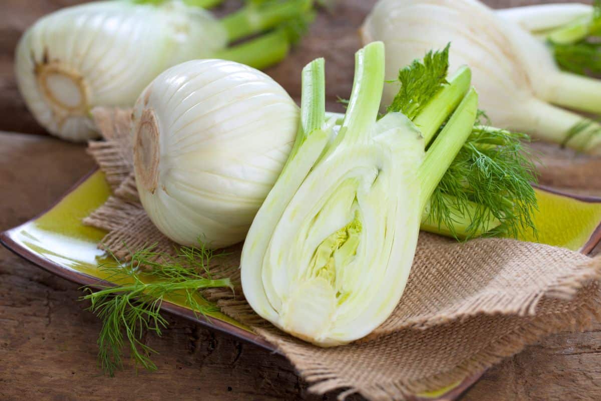Fennel, a delicious substitute for celery, displayed on a wooden table.