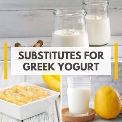 Greek yogurt substitutes