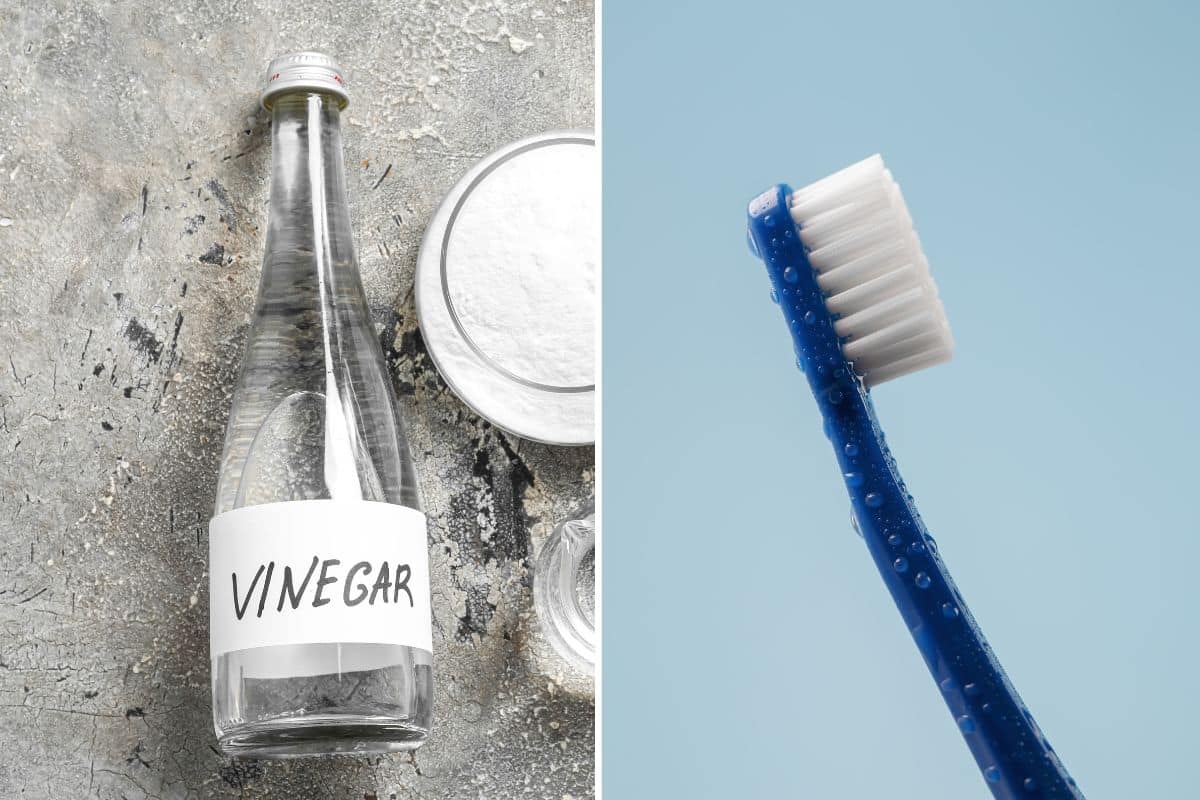 A toothbrush next to a bottle of vinegar, perfect for cleaning retainers.