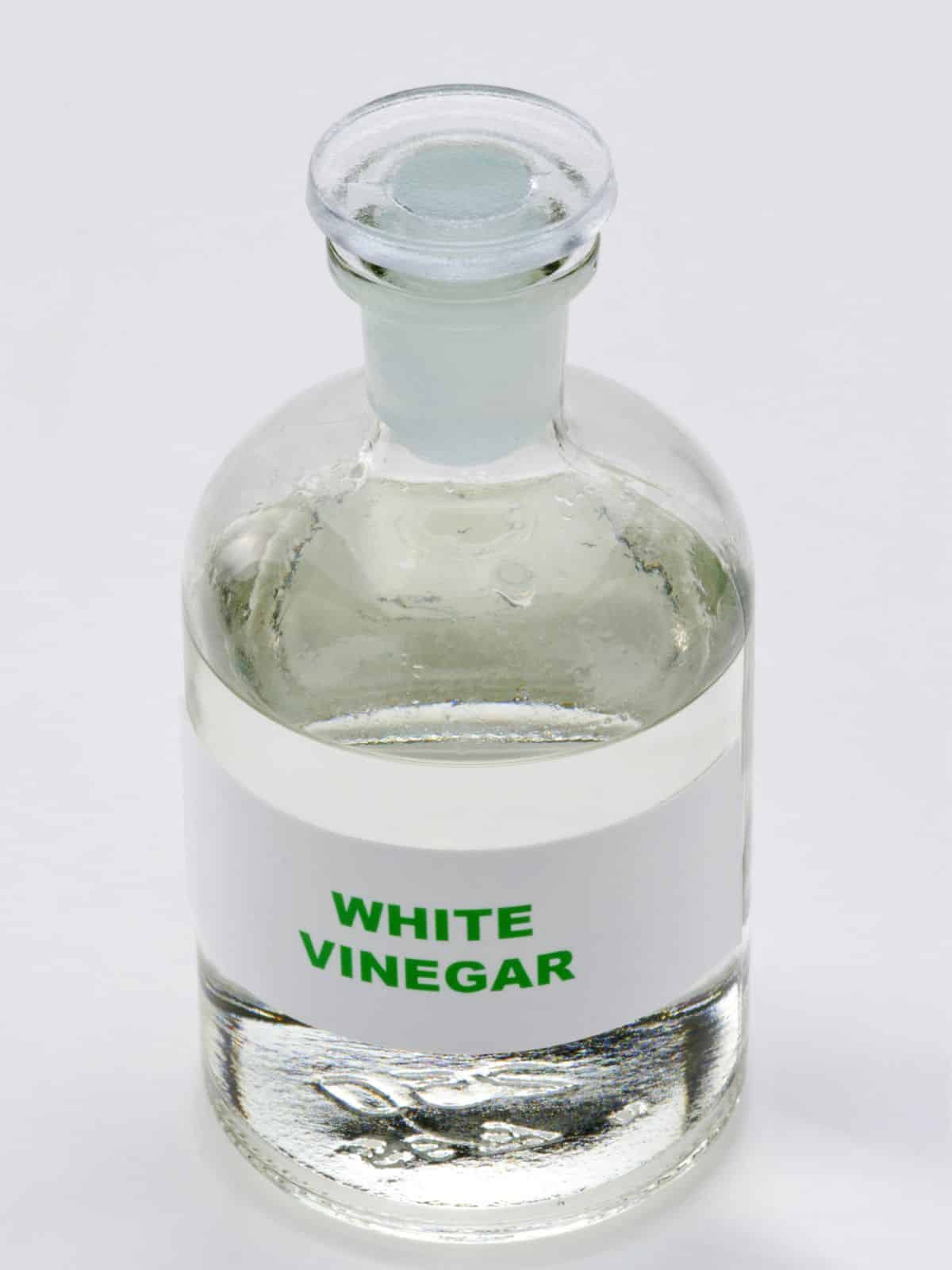 Bottle of white vinegar on a white surface, a solution for removing milk stains from carpet.